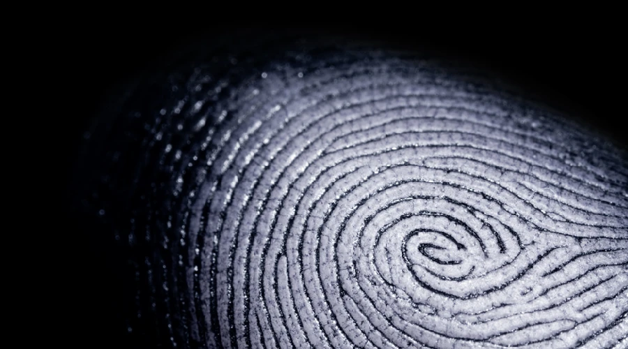 Personalized Digital Humans Impact Identity