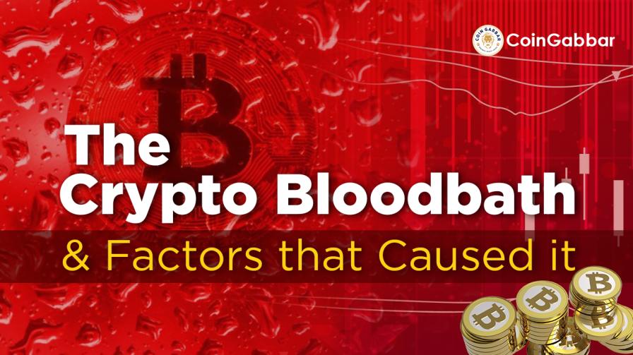 The crypto bloodbath and the factors that caused it....