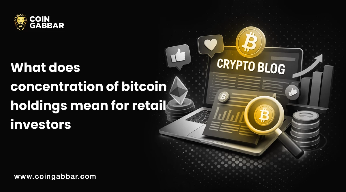 What does concentration of bitcoin holdings mean for retail investors