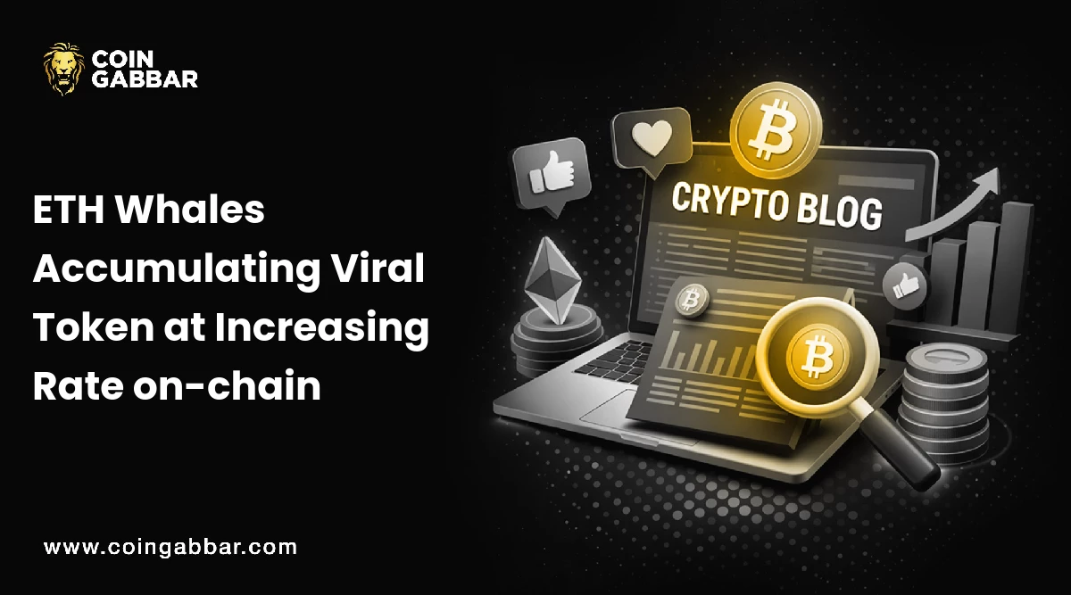 Rollblock GameFi Presale