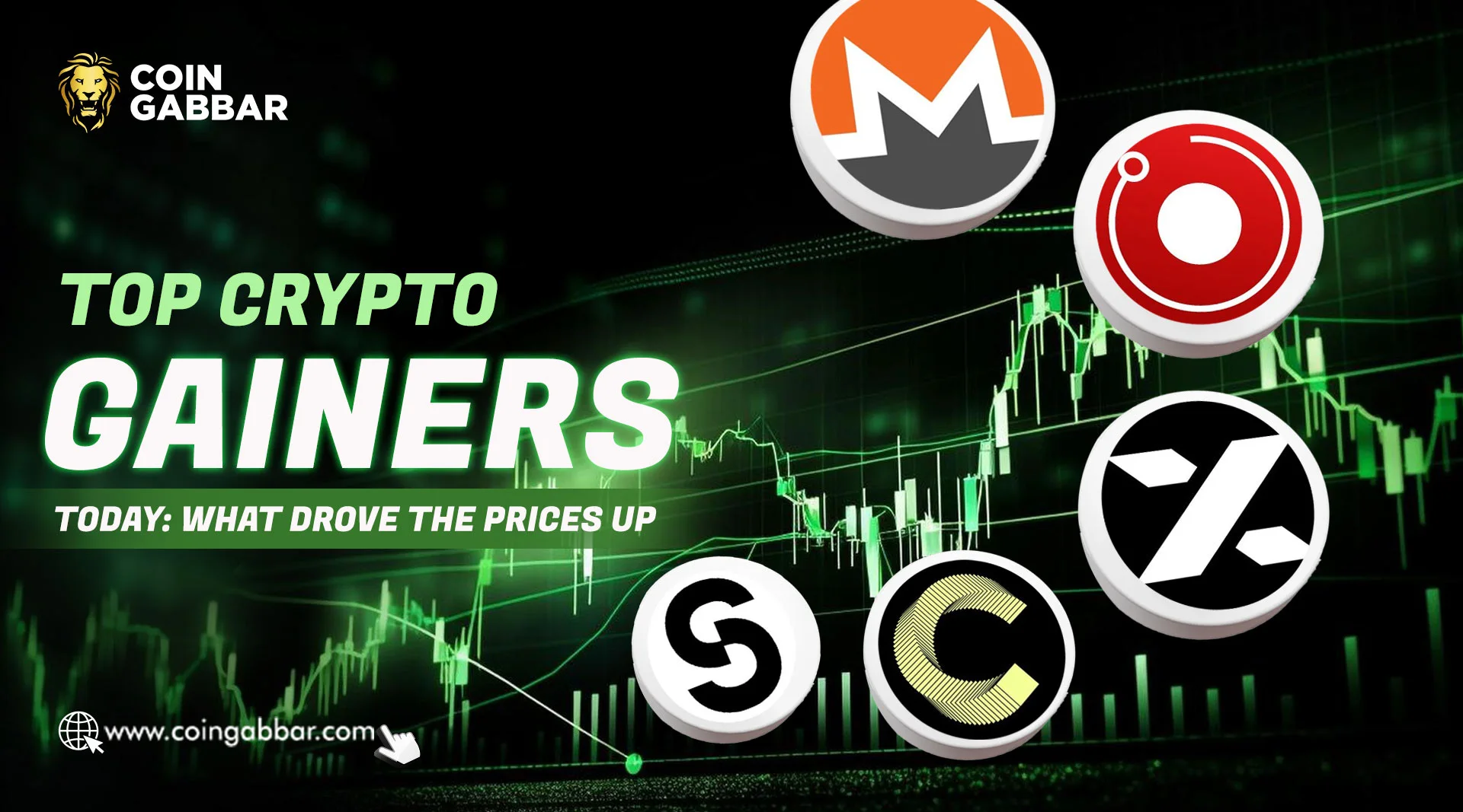 Top Crypto Gainers Today: What Drove The Prices Up