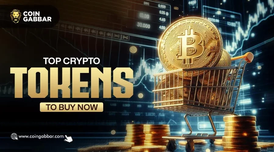 Top Crypto Tokens to Buy Now
