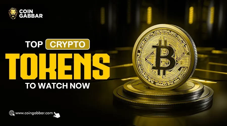 Top Crypto Tokens to Watch Now