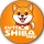 Cute Shiba Inu