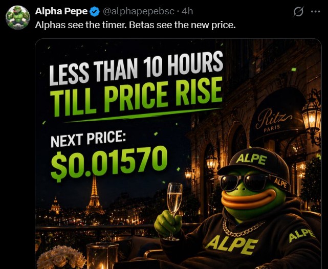 Alpha Pepe Presale Timeline