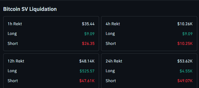 BSV liquidation data latest