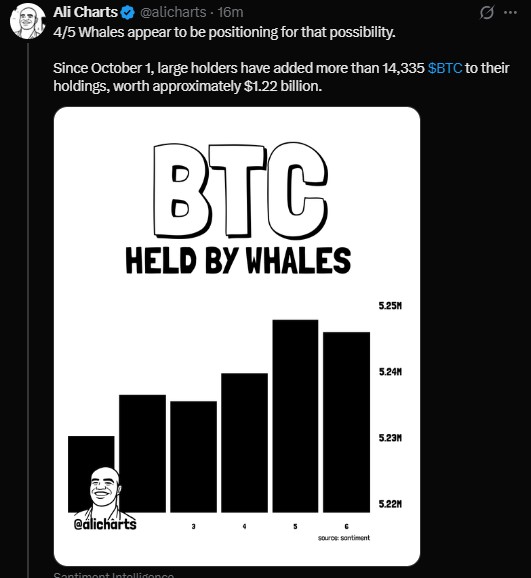 Santiment data shows whale holdings rising Santiment data shows whale holdings rising