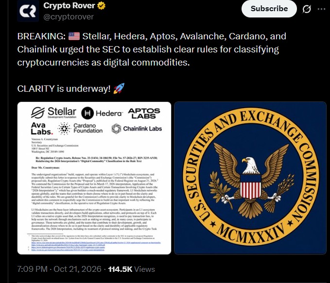 Why 6 Blockchain Groups Asking the SEC for Digital Commodity Rules?