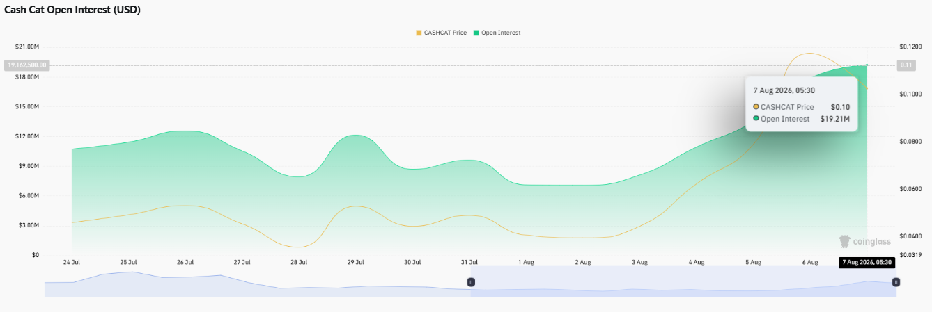 Cash Cat open interest chart showing derivatives activity