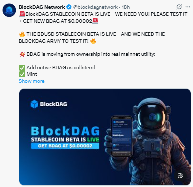 BDUSD stablecoin beta is live BDUSD stablecoin beta is live