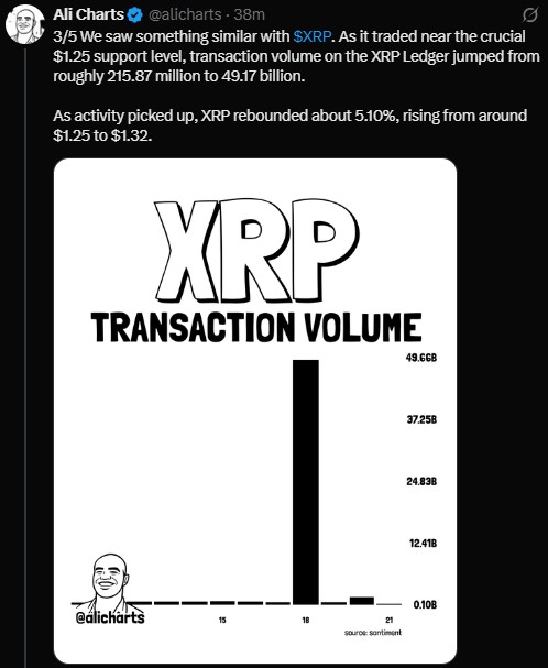 Why Did XRP Bounce From the $1.25 Support Level?