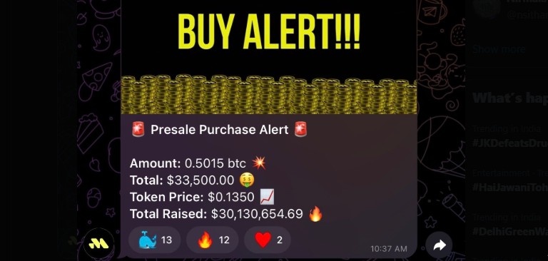 Remittix Presale Whale Movement
