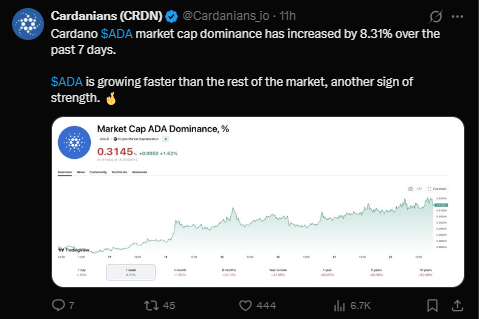 Cardano News today latest Cardano News today latest