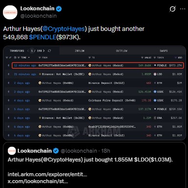 Arthur Hayes Crypto Buying