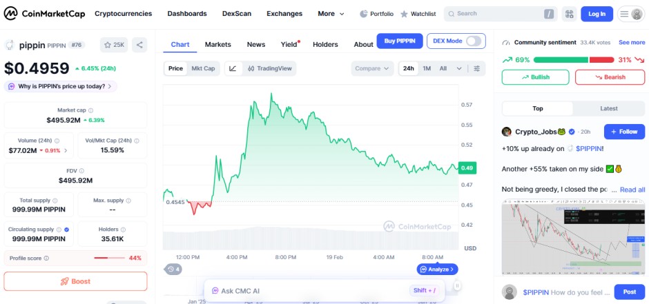 top crypto gainers today, 19 February 2026, Pippin PIPPIN