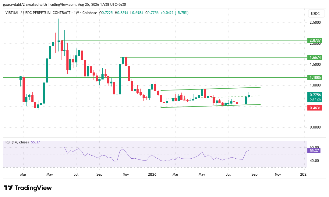 virtual chart dail trading view 