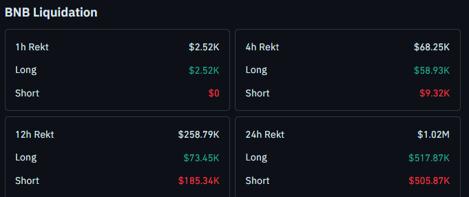 BNB liquidation data today