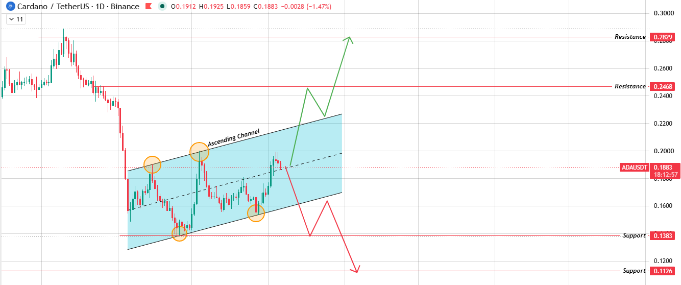 Cardano Ada Daily Chart Analysis