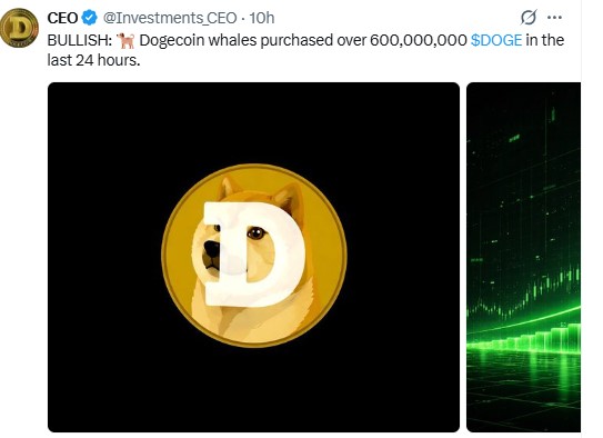 Dogecoin News Today Analysis