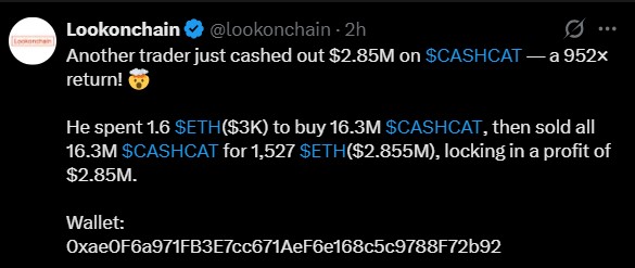 Cashcat coin transfer Cashcat coin transfer