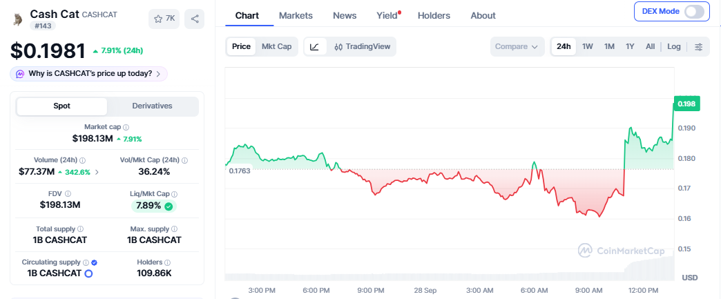 CashCat Token Price Today CashCat Token Price Today