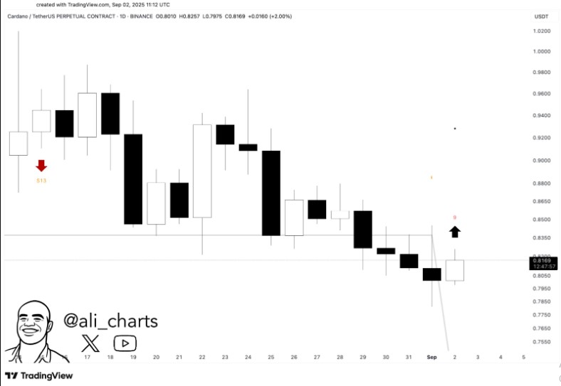Trading View Chart Trading View Chart