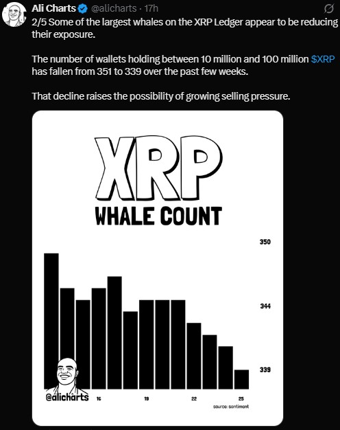 The number of wallets holding 10 million to 100 million XRP fell