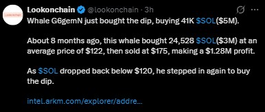 Whale G6gemN  SOL Buy