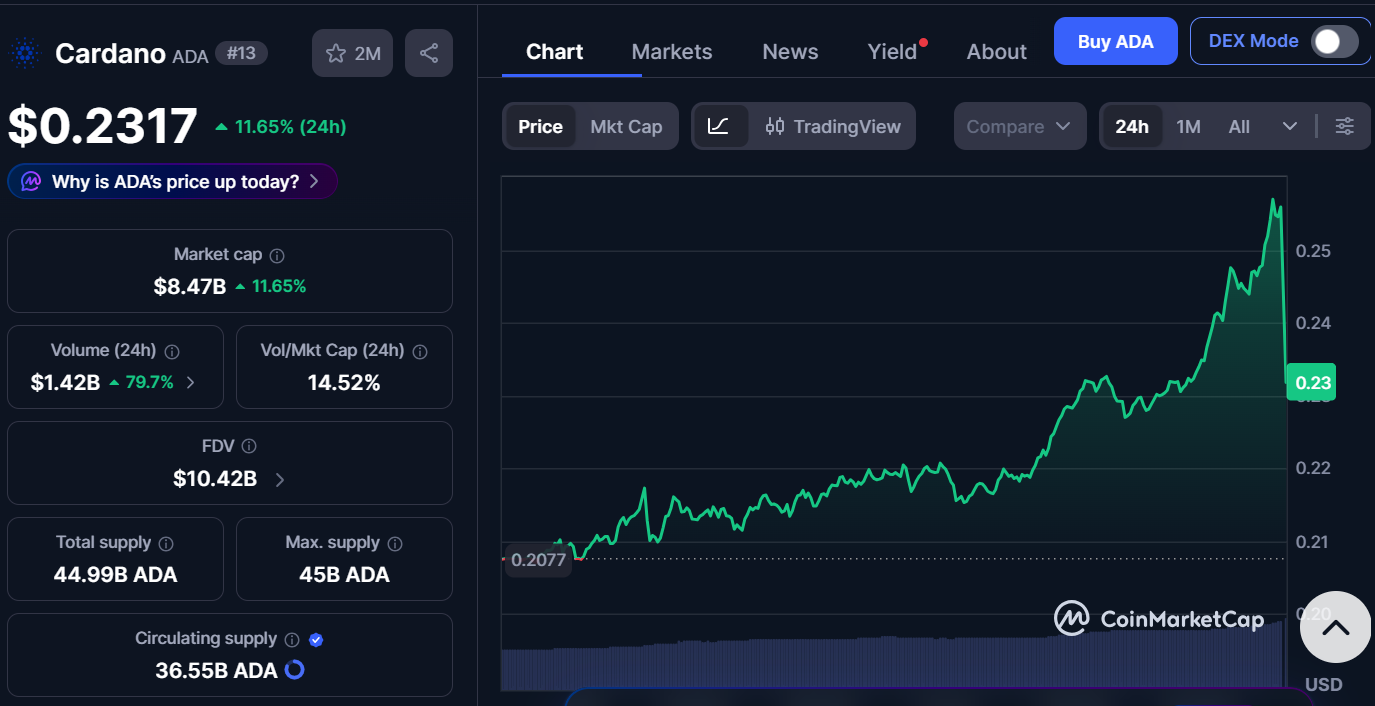 cardano market gate