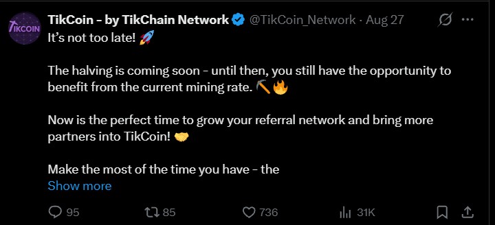 TikWallet Security Update