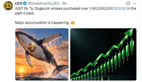 $DOGE Whale Buying $DOGE Whale Buying