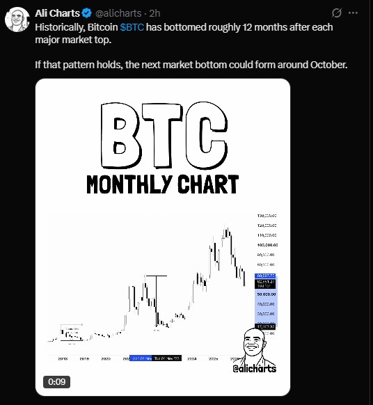 BTC next market bottom could form around October