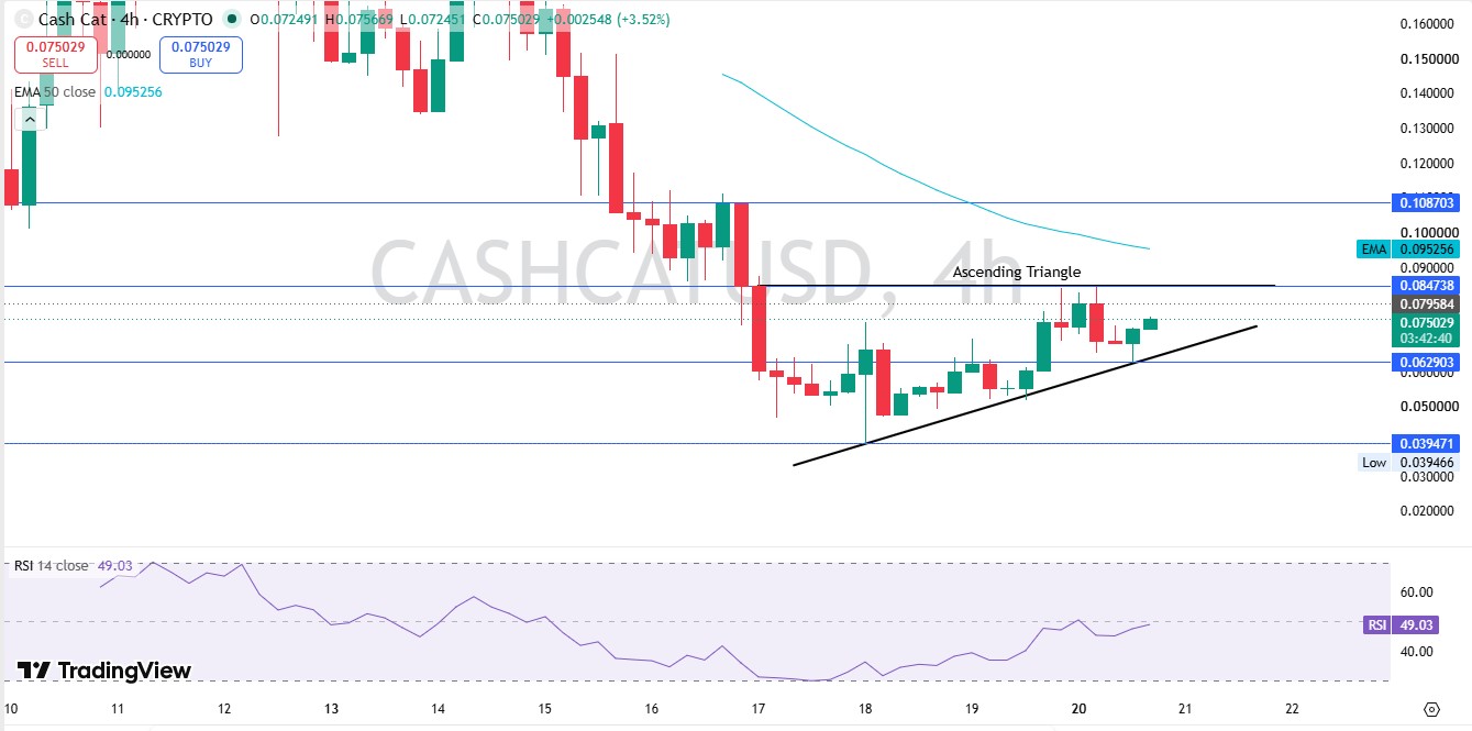 Cash Cat Technical Analysis 4 hours chart