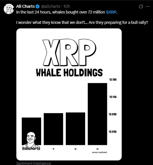 whales bought 72 million $XRP whales bought 72 million $XRP