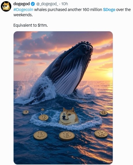 Dogecoin Social Buzz: Whale Buying Claims