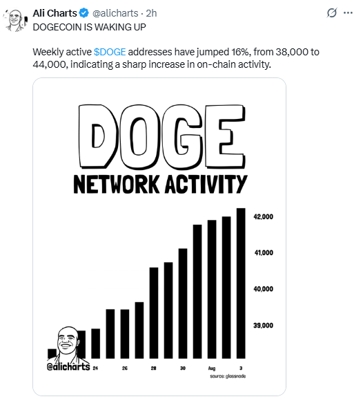 Dogecoin News Today: 