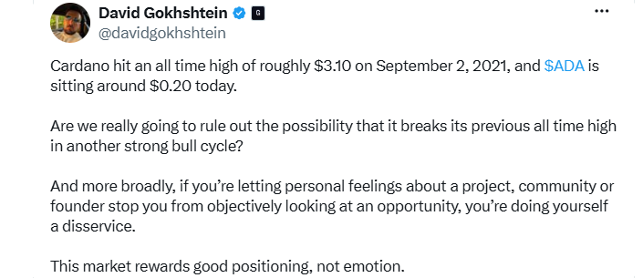 Crypto commentator David Gokhshtein on ADA Price