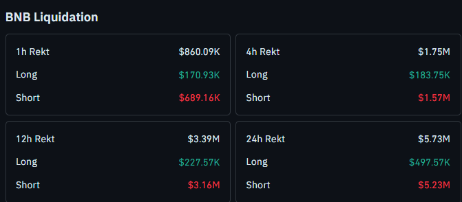 bnb liquidation data today