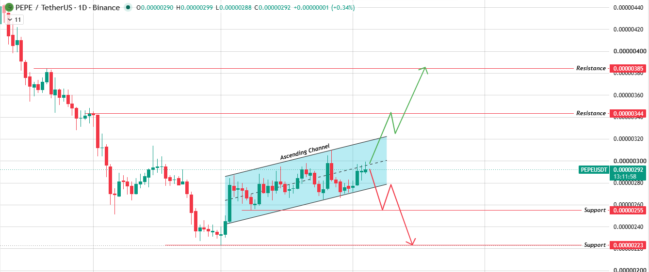 Daily Chart Analysis