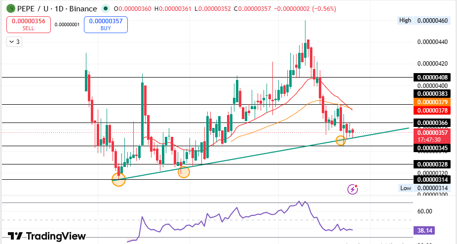 PEPE USDT daily chart with trendline support PEPE USDT daily chart with trendline support