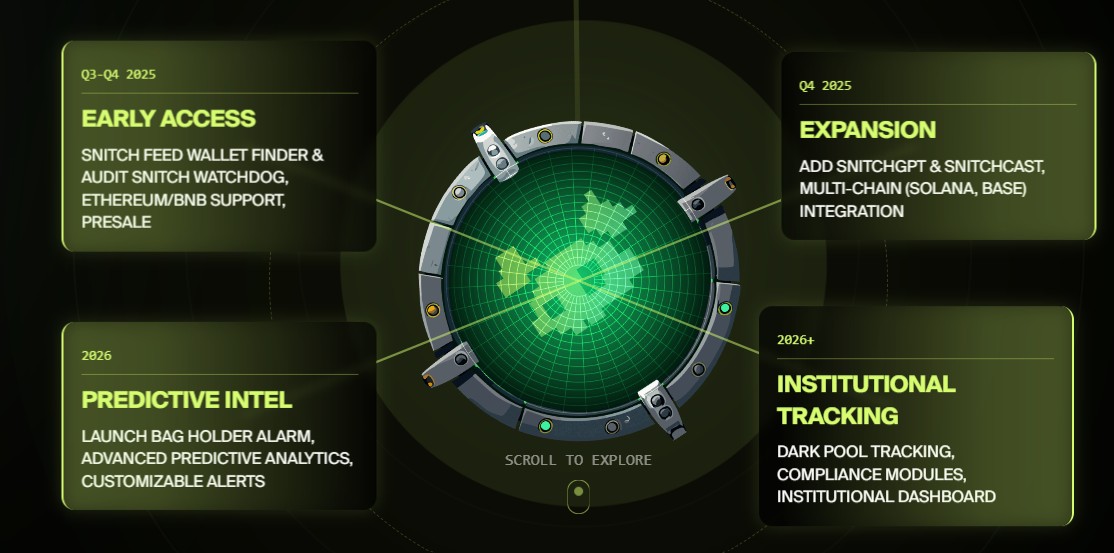 DeepSnitch AI Roadmap
