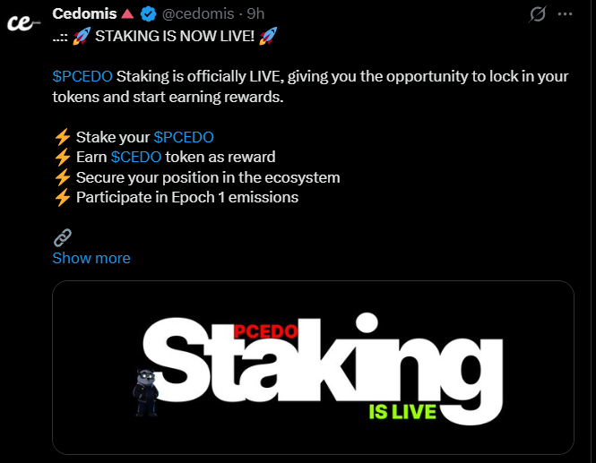 $CEDO staking and On-Chain Today 