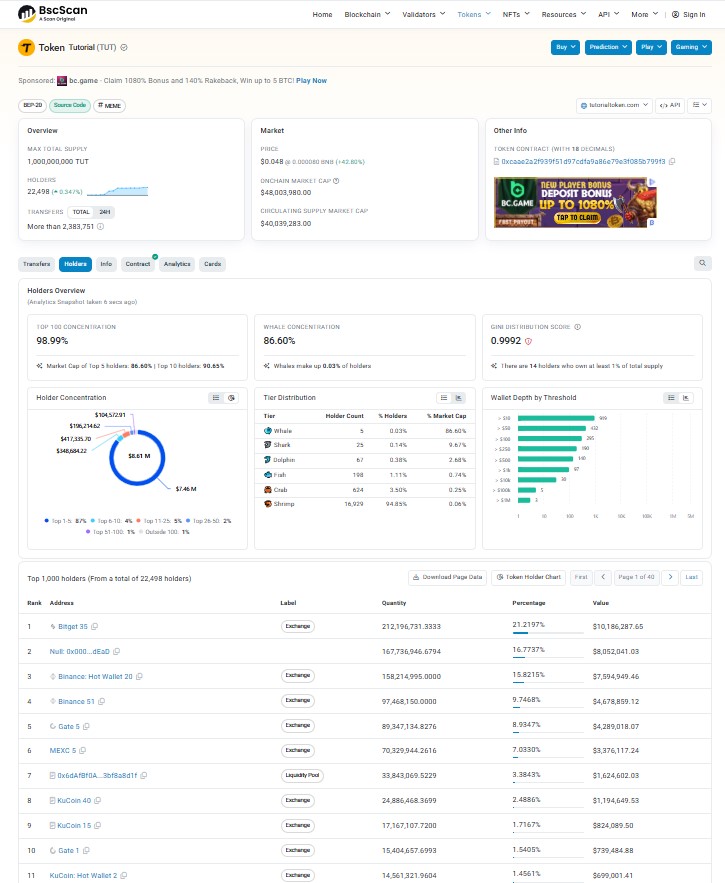 Tokenomics And Whale Concentration