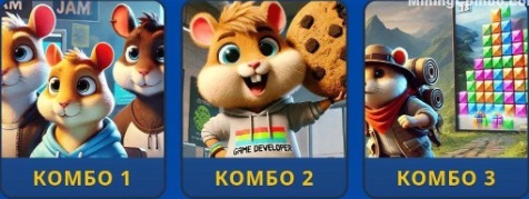 Hamster Kombat Daily Combo
