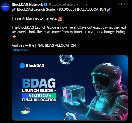 BlockDAG’s official Launch Guide