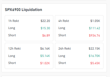 SPX6900 Liquidation Data