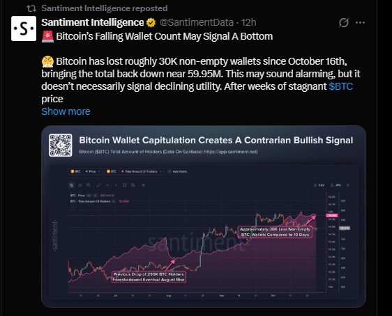 BTC lost roughly 30,000 non-empty wallets since October 16