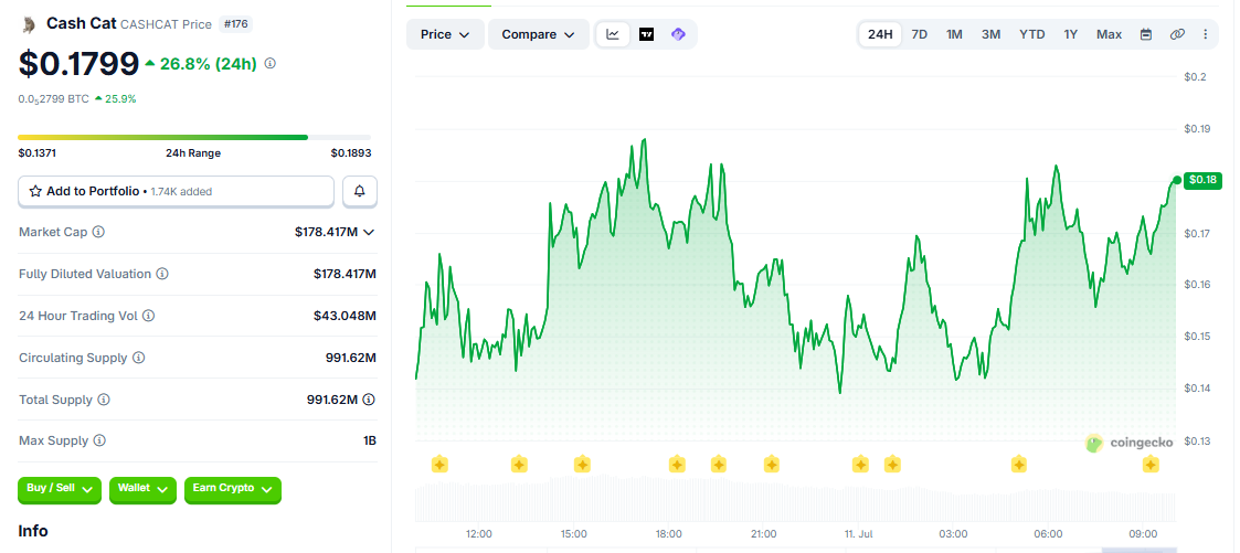 CASHCAT/USD price chart today CASHCAT/USD price chart today