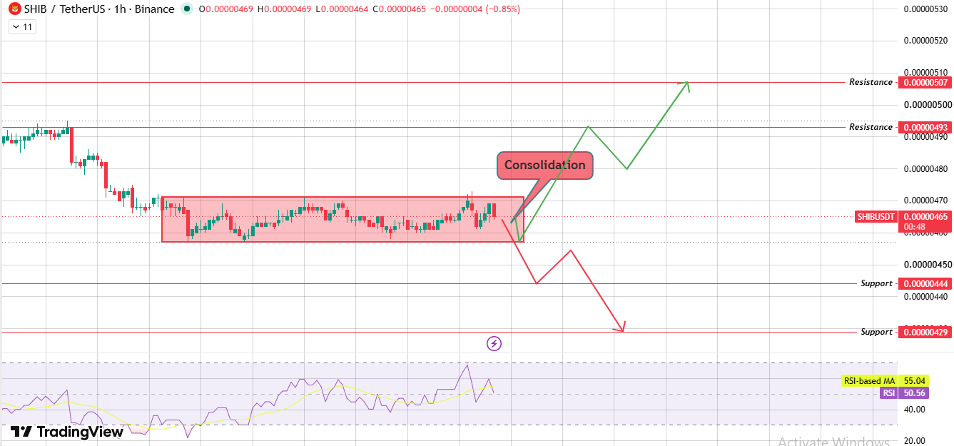 Hourly Chart Analysis for Shiba Inu Price Prediction