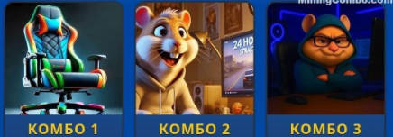 Hamster Kombat Daily Hamster Kombat Daily